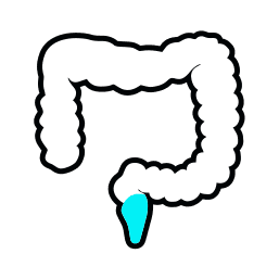 iconC-6
