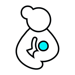 iconC-8